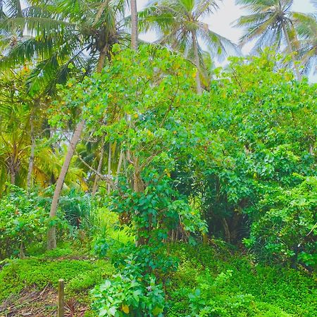 Surf Home Stay Hiriketiya Dickwella Exterior photo
