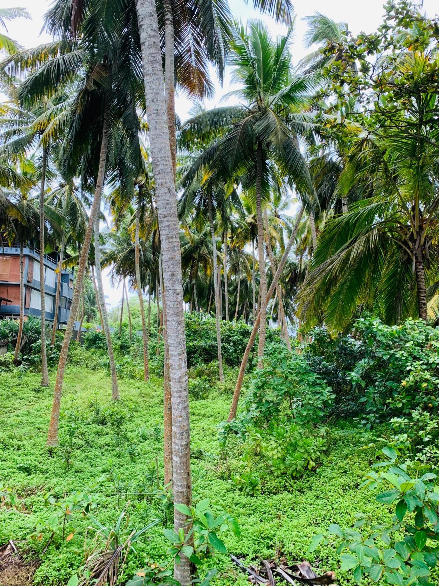 Surf Home Stay Hiriketiya Dickwella Exterior photo